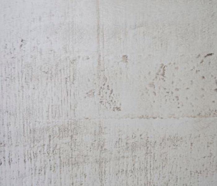 {"ProductId":"52608","ItemOwner":null,"ItemBase":null,"ItemCode":"IFD1923CHR","Template":"1","ShortDescription":"Tufted Backrest Upholstered Chair","IsNew":"0","FinishImage":"240515_78NCFJPYX5.jpg","Size":null,"FabricCode":null,"CollectionId":"192","Price":0,"photo":"211011_e3cc3.jpg","statusWishList":"lnr lnr-heart fa-xl"}