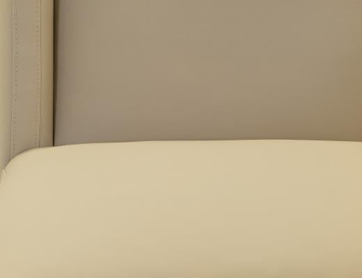Upholstered Chair (100% Leathe - view 7