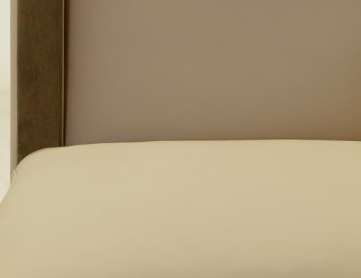 Upholstered Chair (100% Leathe - view 6